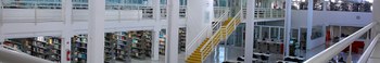 biblioteca.jpg