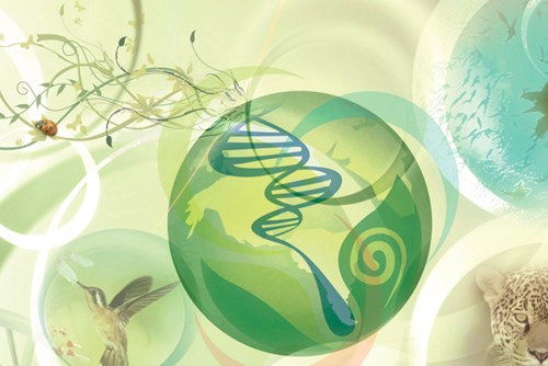 curso-ciencias-biologicas.jpg