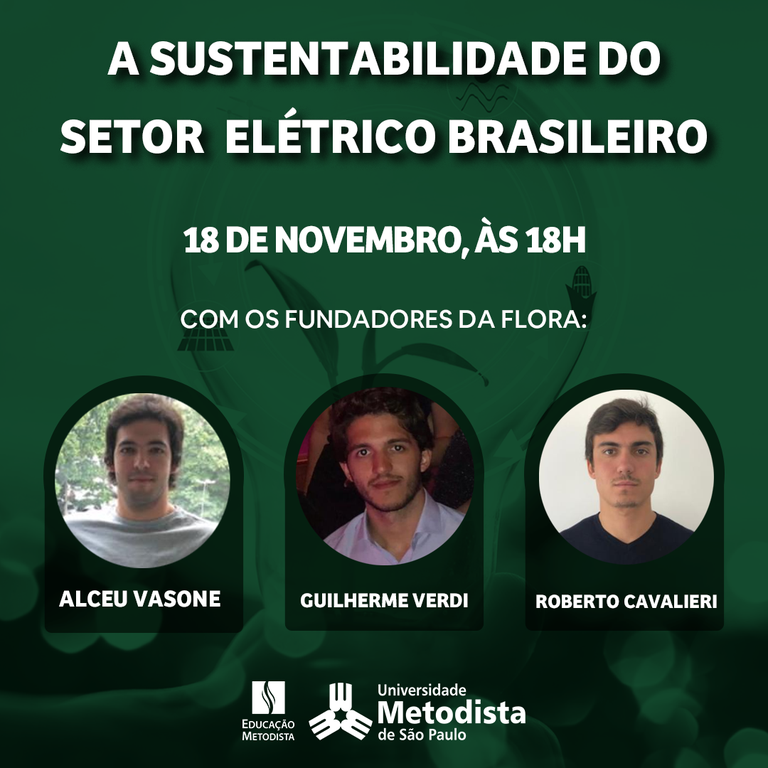 Sustentabilidade do setor elétrico brasileiro.png