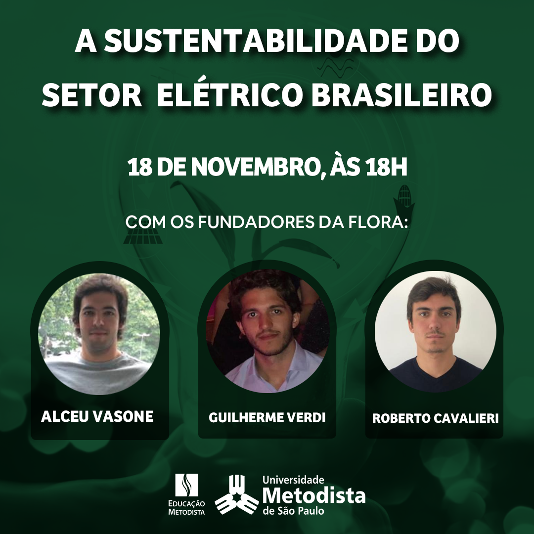 Sustentabilidade do setor elétrico brasileiro.png
