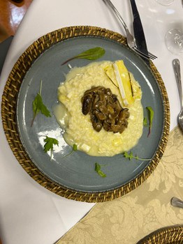Gastro2.jpg