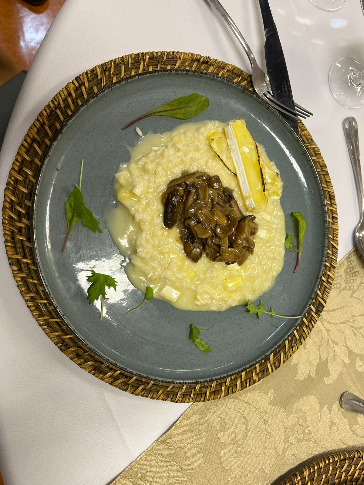 Gastro2.jpg