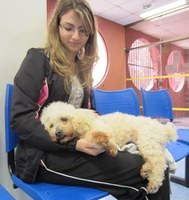 Hospital Veterinário: união de aprendizado e cidadania