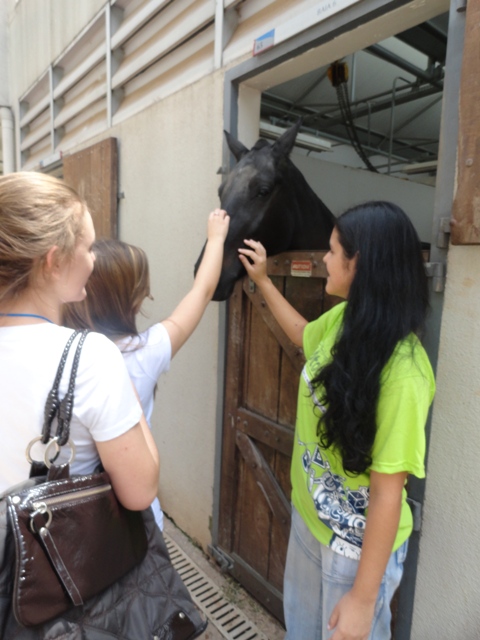Visitas ao Hospital Veterinário e oficina de comprimidos fazem parte da programação do Dia da Universidade Aberta Metodista 