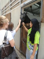 Visitas ao Hospital Veterinário e oficina de comprimidos fazem parte da programação do Dia da Universidade Aberta Metodista 