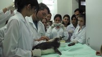 Alunos atuantes