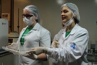 Farmácia encanta jovens com fórmulas e manipulações
