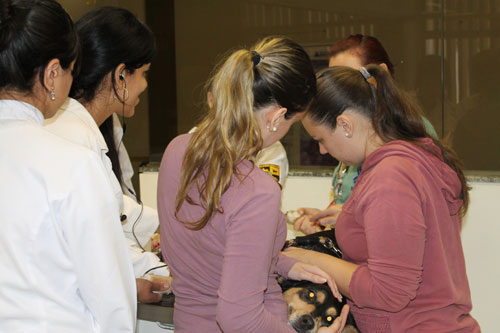 Veterinária mostra parque de animais, laboratórios e sala cirúrgica