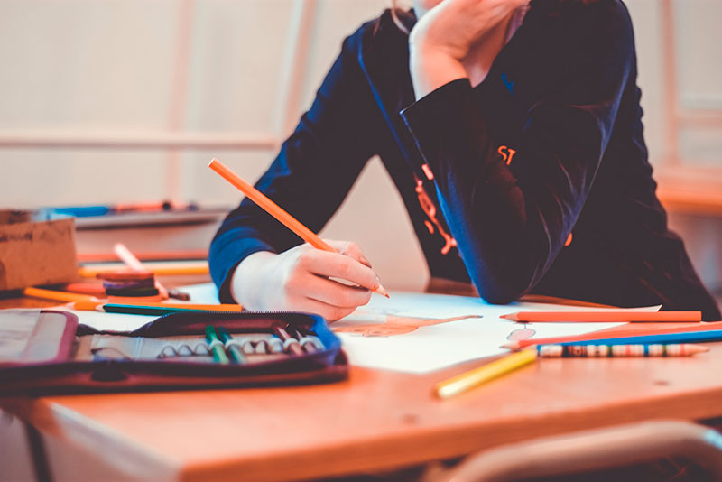 Programa de Licenciaturas promove aula magna sobre a Escola Brasileira