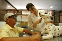 Veterinária, Odontologia e Psicologia têm vestibular de meio de ano na Metodista