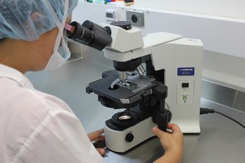 23° semana acadêmica de Biomedicina acontece de 25 a 29 de setembro 23° semana acadêmica de Biomedicina acontece de 25 a 29 de setembro