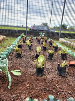 Campus Rudge Ramos retoma o cultivo das hortas comunitárias Campus Rudge Ramos retoma o cultivo das hortas comunitárias