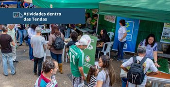 Capturar3.PNG
