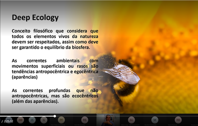 Capturar4.PNG