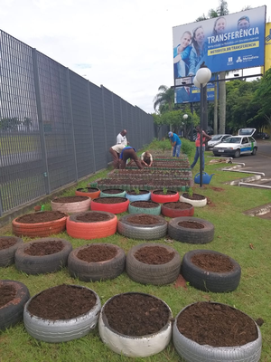 Plantas comestíveis 