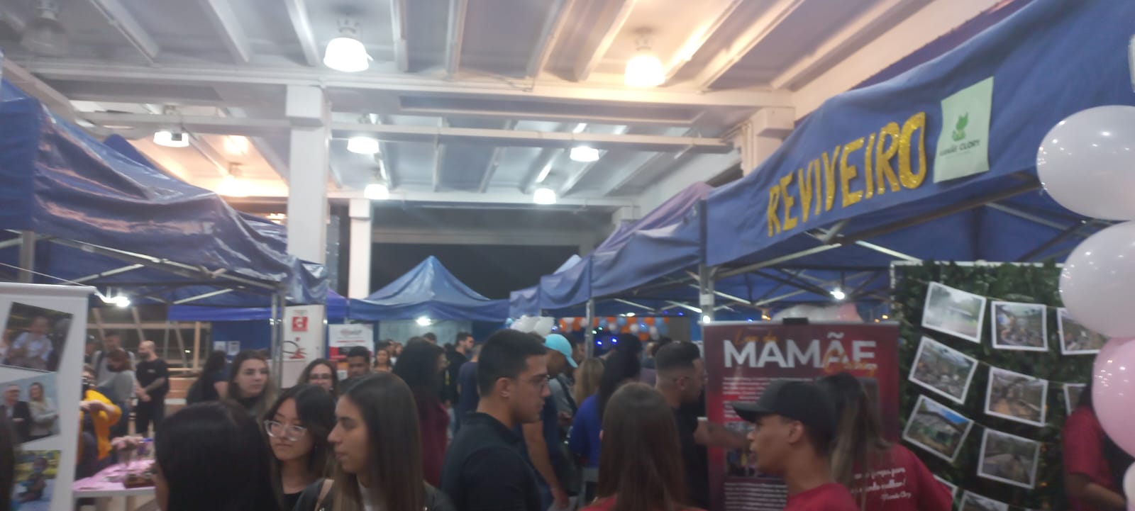 reviveiro.jpg