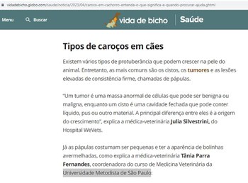 Vida de Bicho.JPG