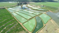 Núcleo de Sustentabilidade promove palestra sobre Agro Sustentável