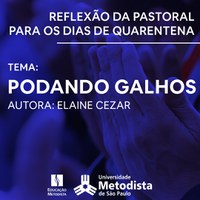 Podando galhos