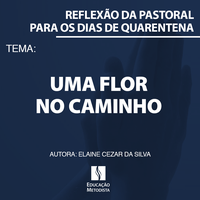 Uma flor no caminho