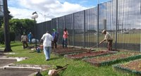 Universidade Metodista estende “Projeto Hortas Comunitárias”